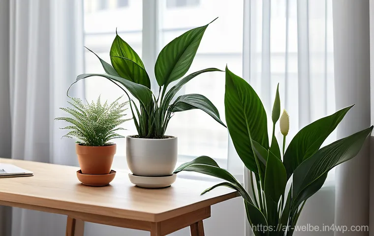 자연 요소와 인간의 관계 사무실 내 적용 - **Prompt 1: Serene Individual Workspace with Natural Accents** "A cozy and serene individual hom...